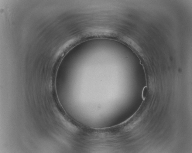 X0000062890629200601201846