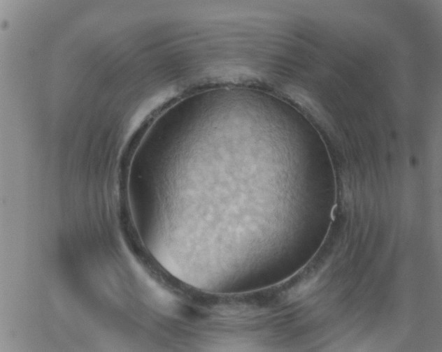 X0000062890630200601201846