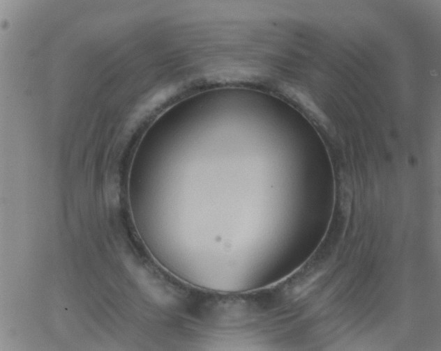 X0000062890631200601201846