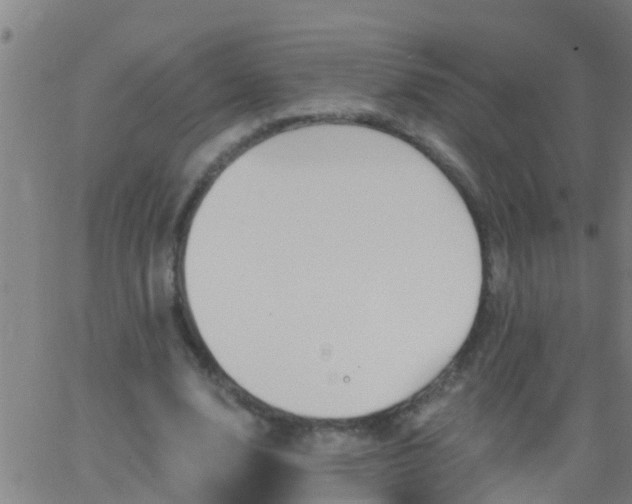 X0000062890632200601201846