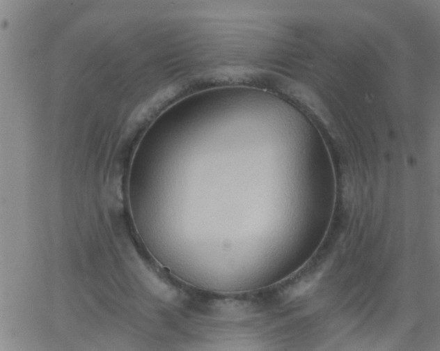 X0000062890633200601201846