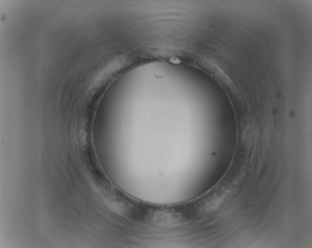 X0000062890635200601201846