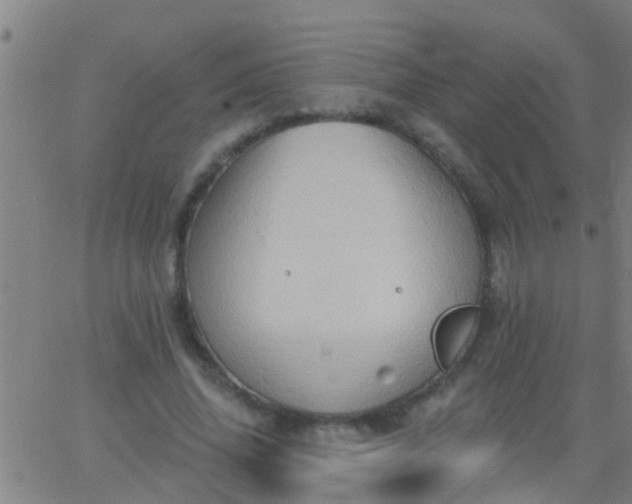 X0000062890636200601201846