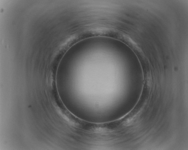 X0000062890637200601201846