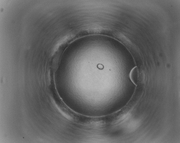 X0000062890638200601201846