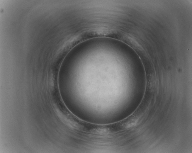 X0000062890639200601201846