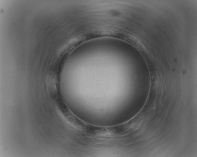 X0000062890643200601201847