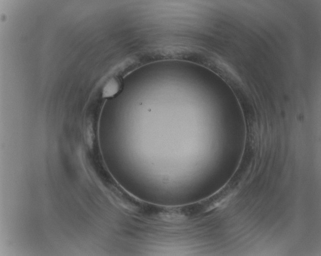 X0000062890644200601201847