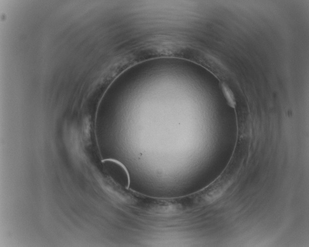 X0000062890646200601201847