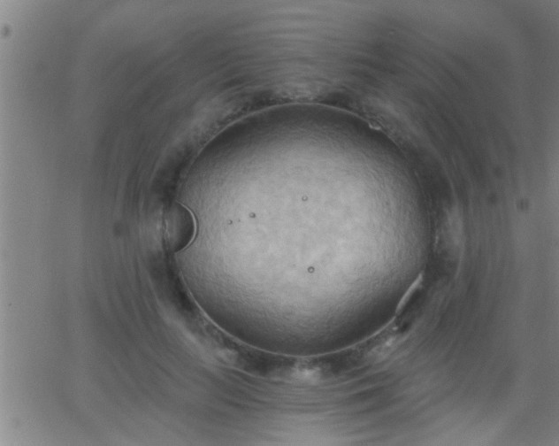 X0000062890647200601201847