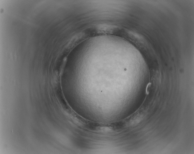 X0000062890649200601201847