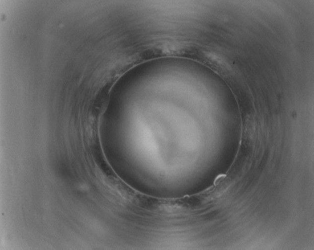 X0000062890650200601201847