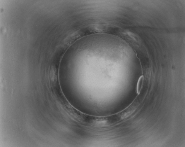 X0000062890651200601201847