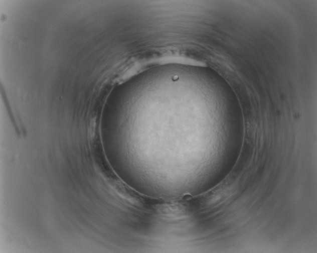 X0000062890652200601201847