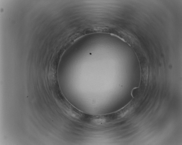 X0000062890653200601201847