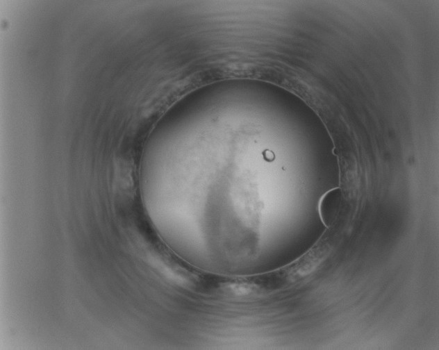 X0000062890654200601201847