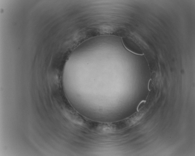 X0000062890655200601201847