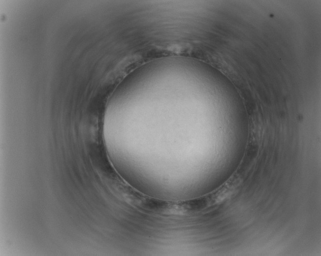 X0000062890656200601201847