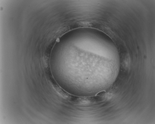 X0000062890658200601201847