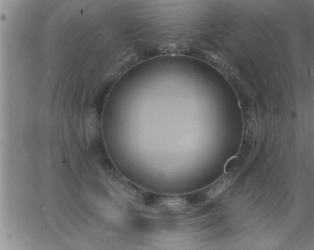 X0000062890659200601201847