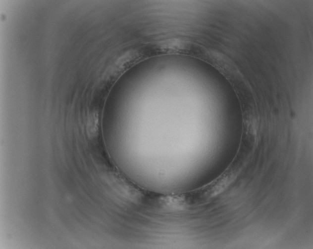 X0000062890660200601201847