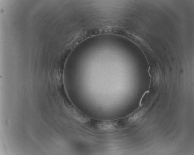 X0000062890661200601201847