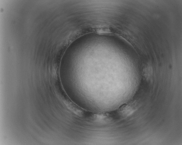 X0000062890662200601201847