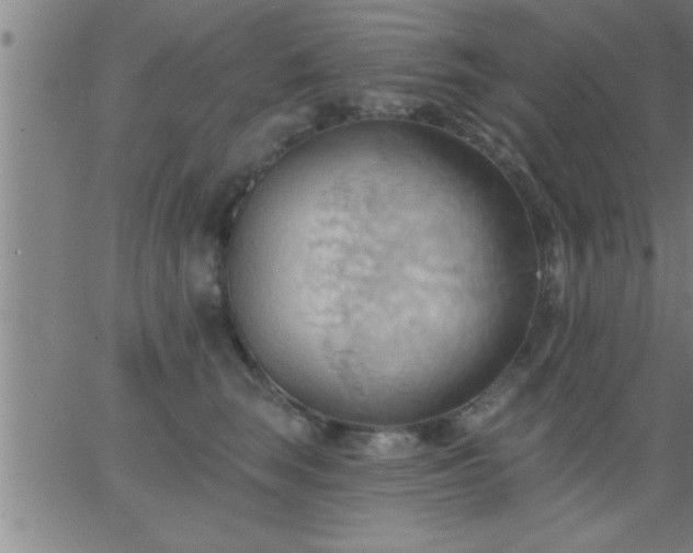 X0000062890663200601201847