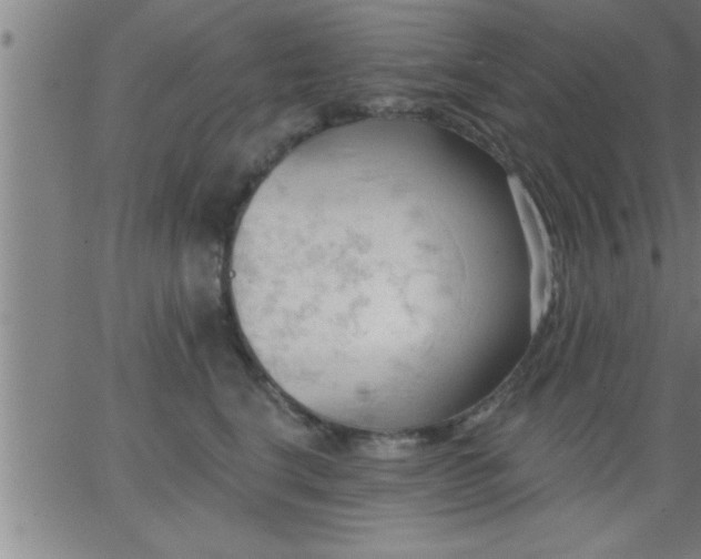 X0000062890664200601201847