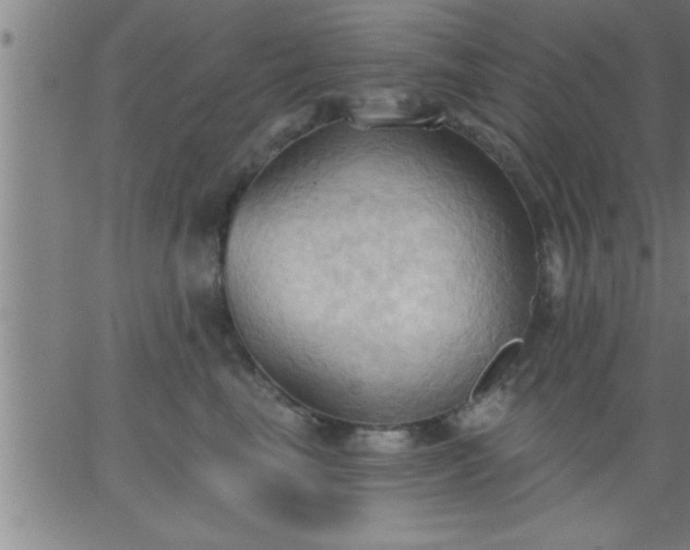 X0000062890665200601201847