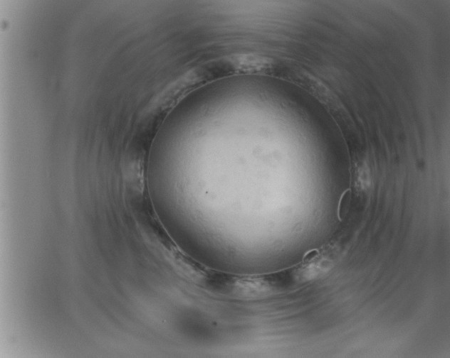 X0000062890666200601201847