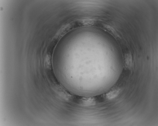 X0000062890667200601201847