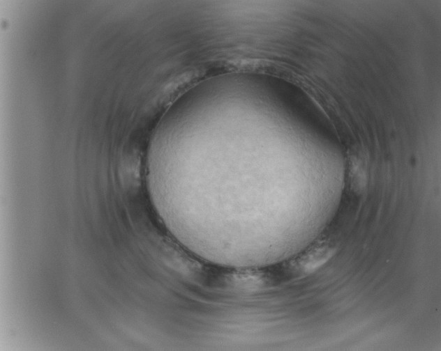 X0000062890668200601201847