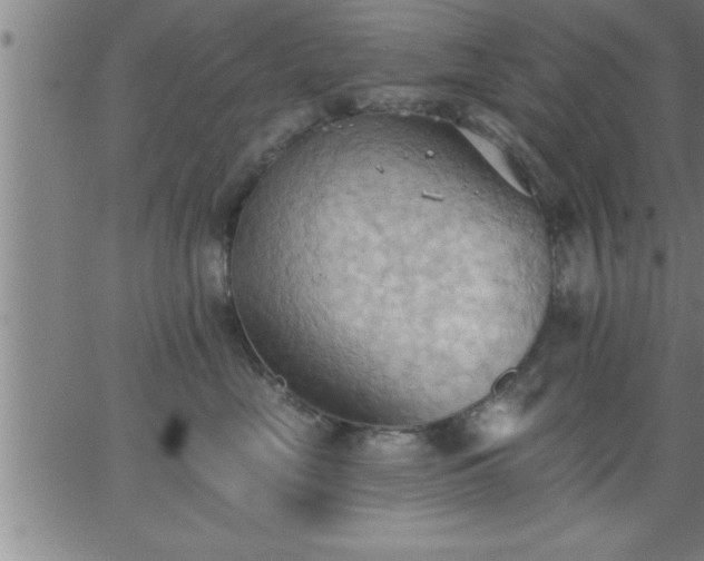 X0000062890669200601201847