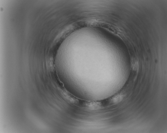 X0000062890670200601201847