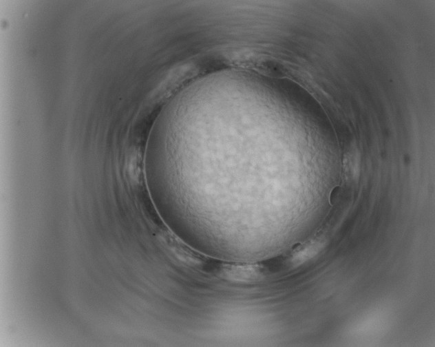 X0000062890671200601201847