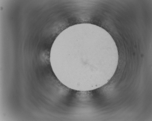 X0000062890672200601201847