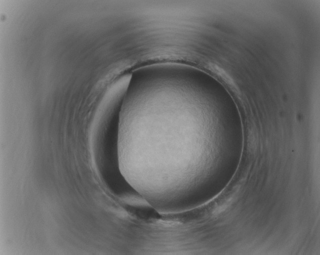 X0000062890673200601201846