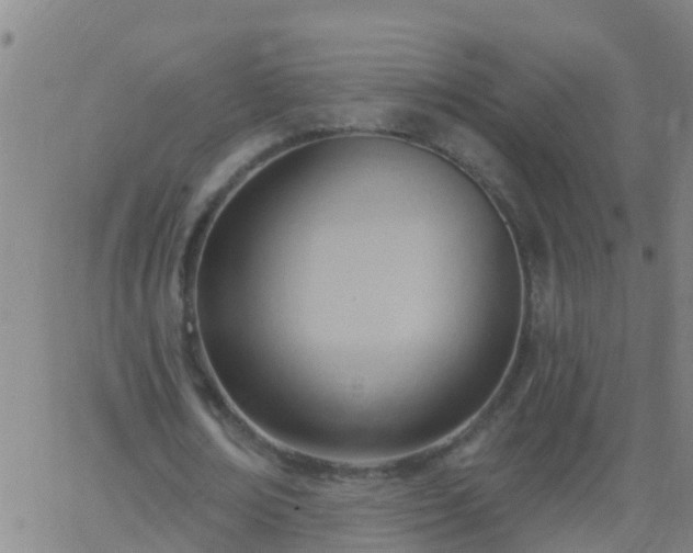 X0000062890674200601201846