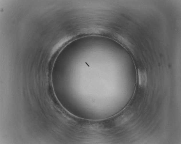 X0000062890675200601201846