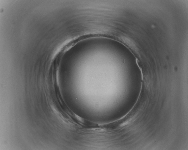 X0000062890676200601201846