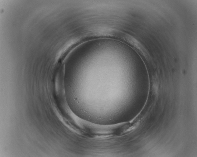 X0000062890677200601201846