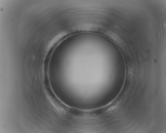 X0000062890678200601201846