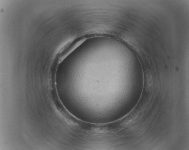 X0000062890680200601201846