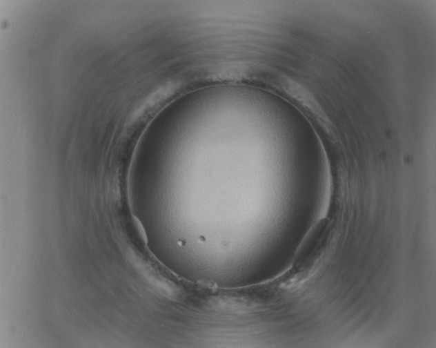 X0000062890681200601201846