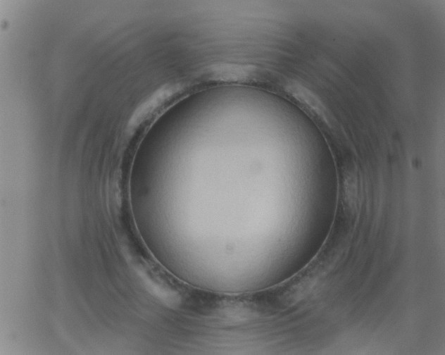 X0000062890682200601201846