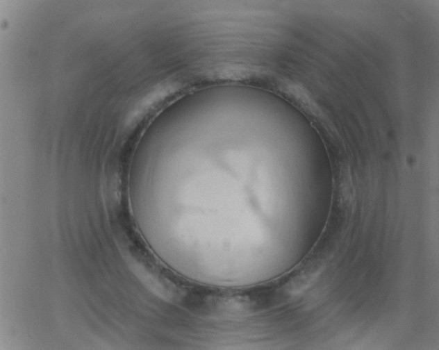 X0000062890683200601201846