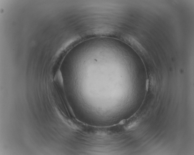 X0000062890684200601201846