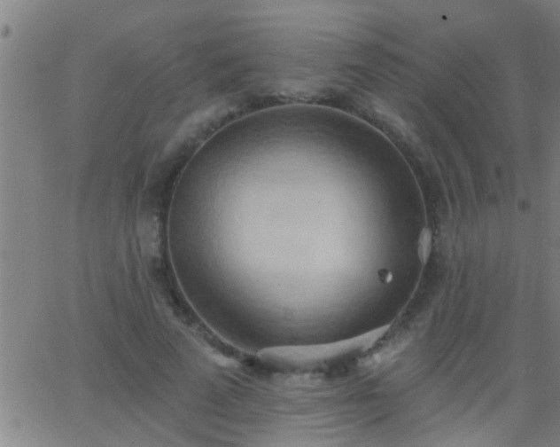 X0000062890689200601201846