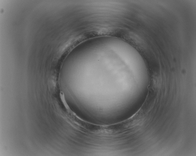 X0000062890691200601201846